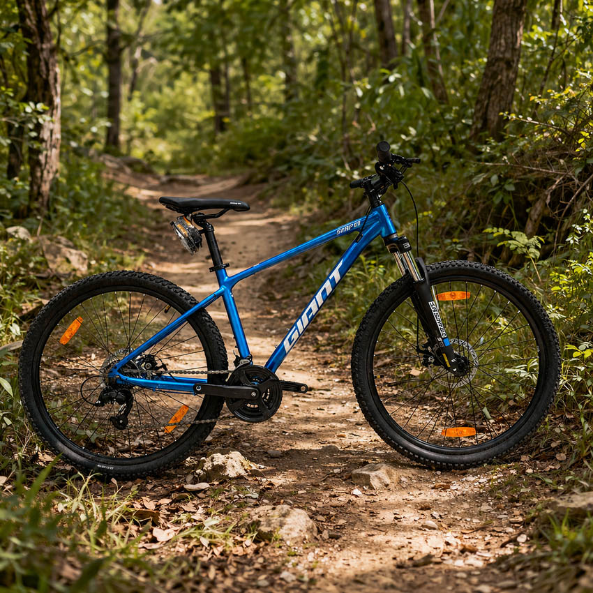 cách chọn xe đạp địa hình